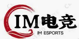 IM 电竞（中国）官网下载入口