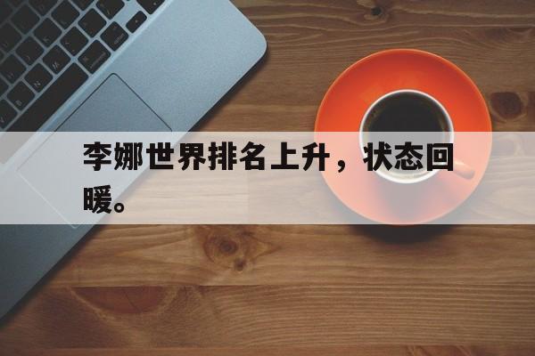 IM电竞app-李娜世界排名上升，状态回暖。