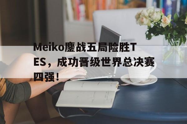 IM 电竞官网下载-Meiko鏖战五局险胜TES，成功晋级世界总决赛四强！
