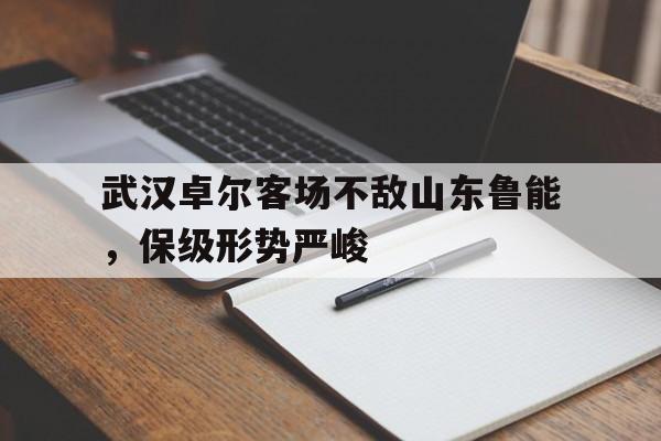 IM 电竞官网下载-武汉卓尔客场不敌山东鲁能，保级形势严峻