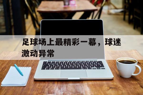 IM电竞下载app-足球场上最精彩一幕，球迷激动异常